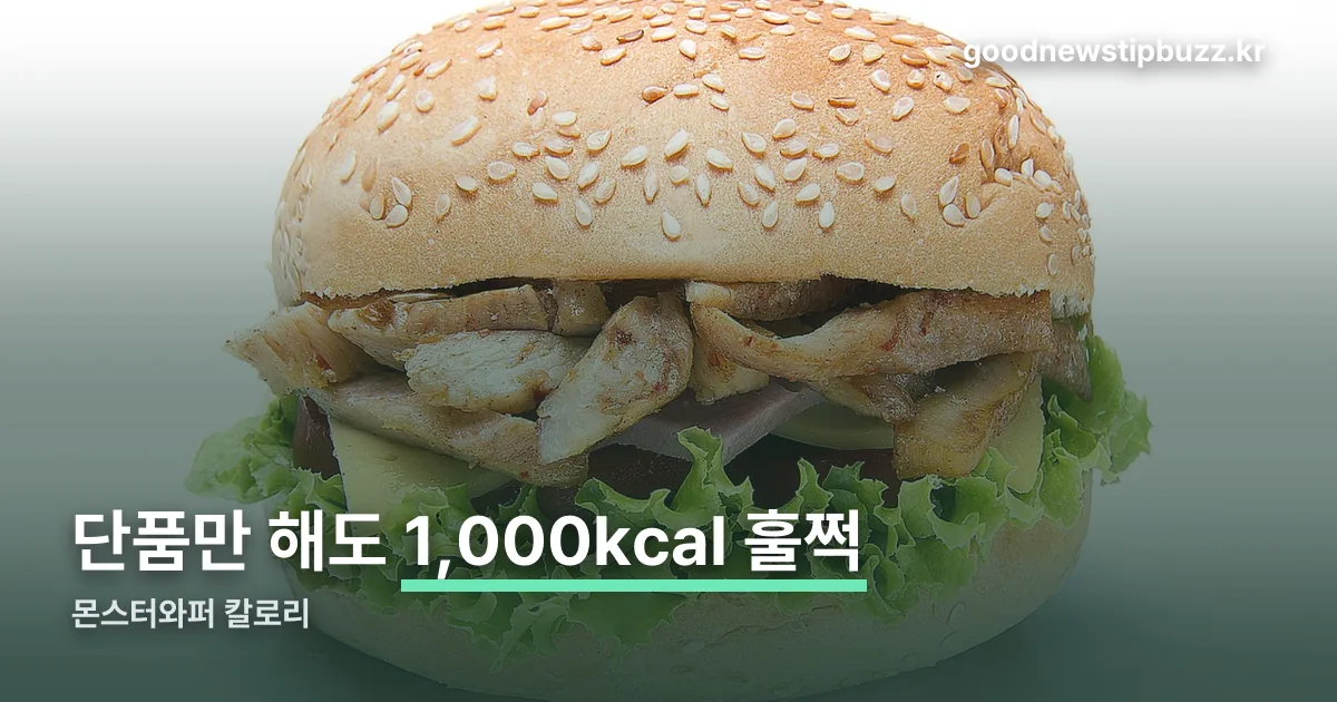 몬스터와퍼 칼로리 정리 썸네일