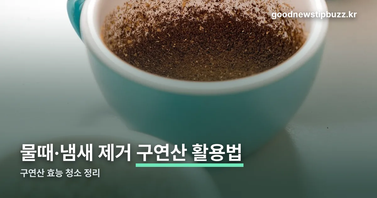 구연산 효능 청소 정리 썸네일