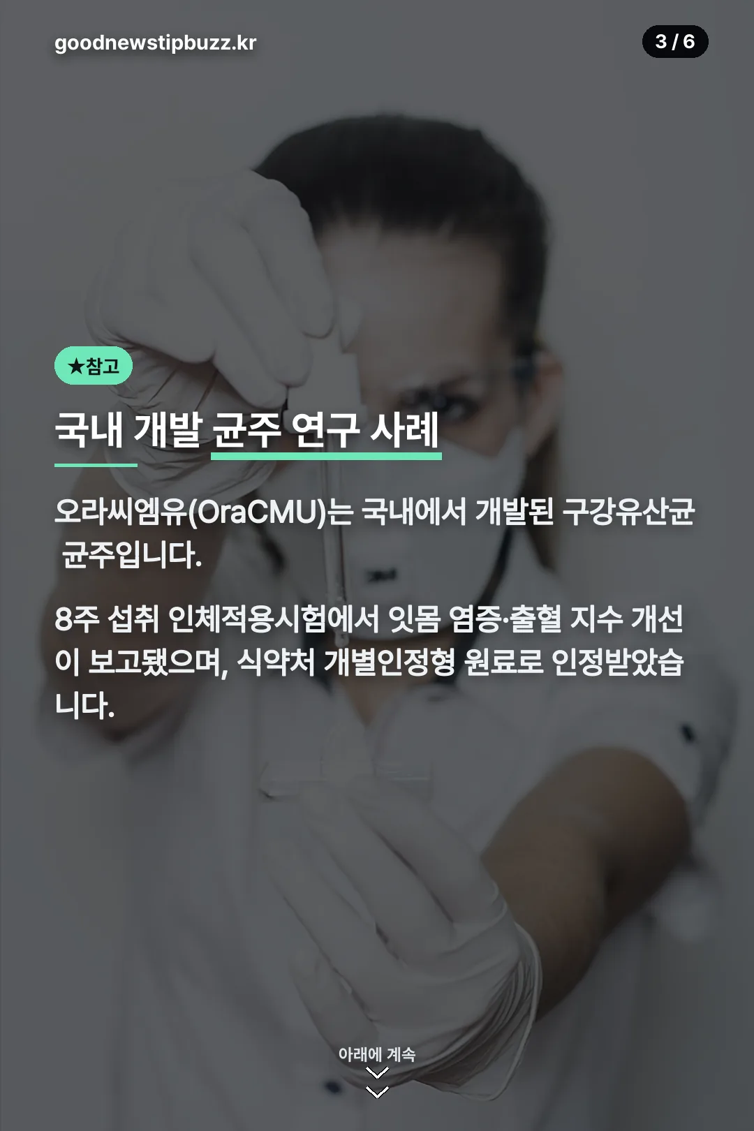 국내 개발 균주 연구