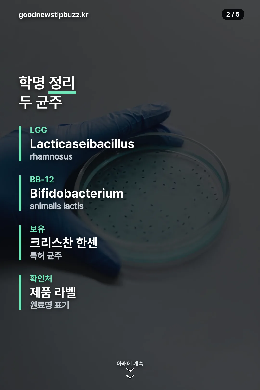 두 균주 학명 정리
