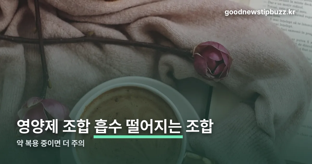 영양제 조합 정리 썸네일