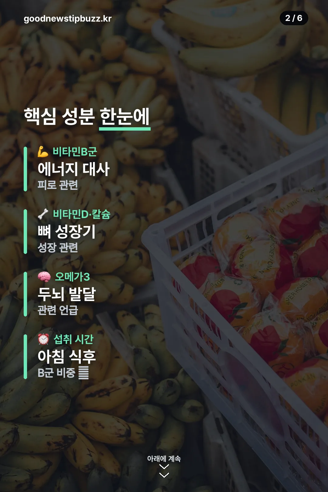 핵심 성분 한눈에