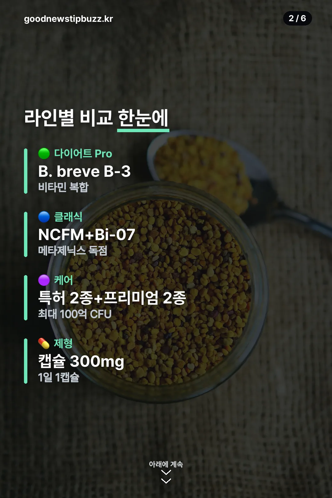 라인별 비교 한눈에