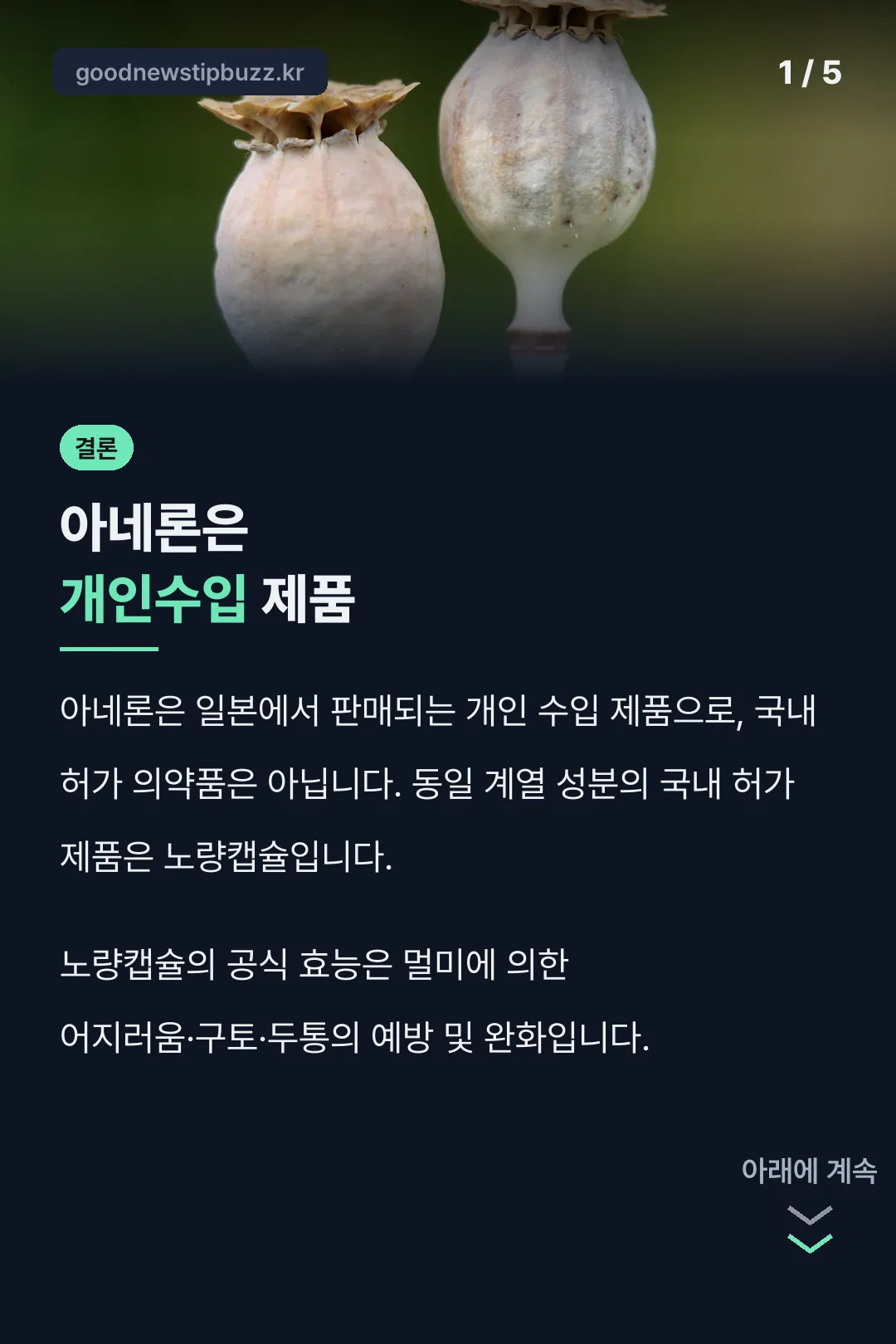 아네론 복용법 표지