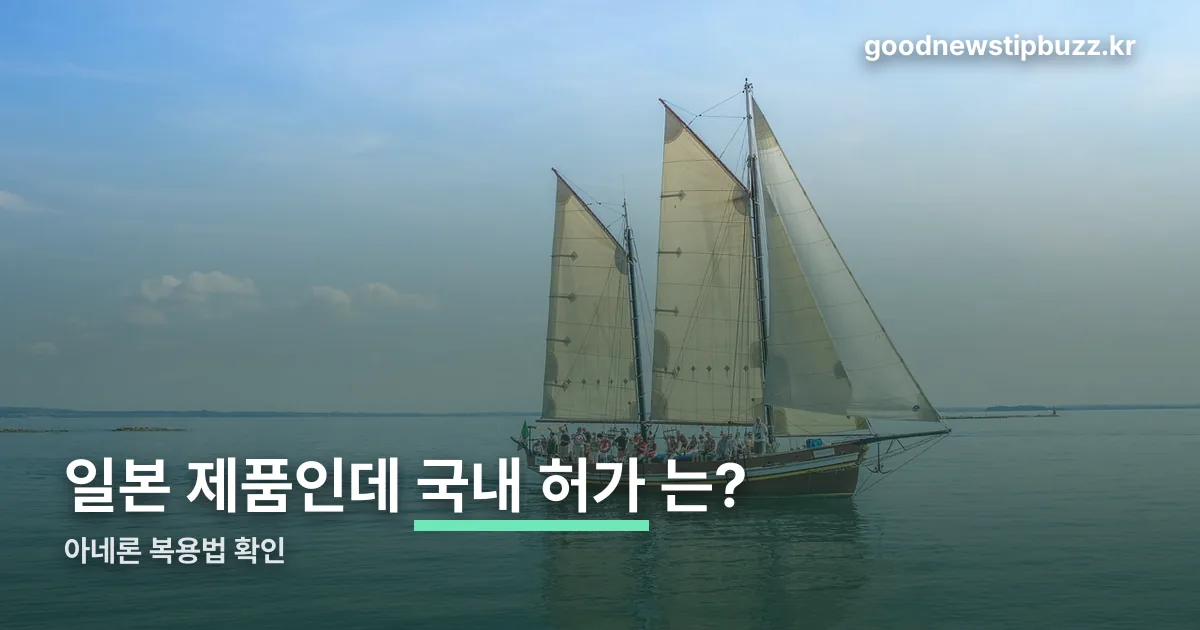 아네론 복용법 정리 썸네일
