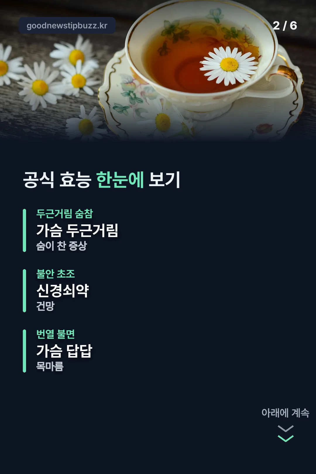 공식 효능 한눈에 보기