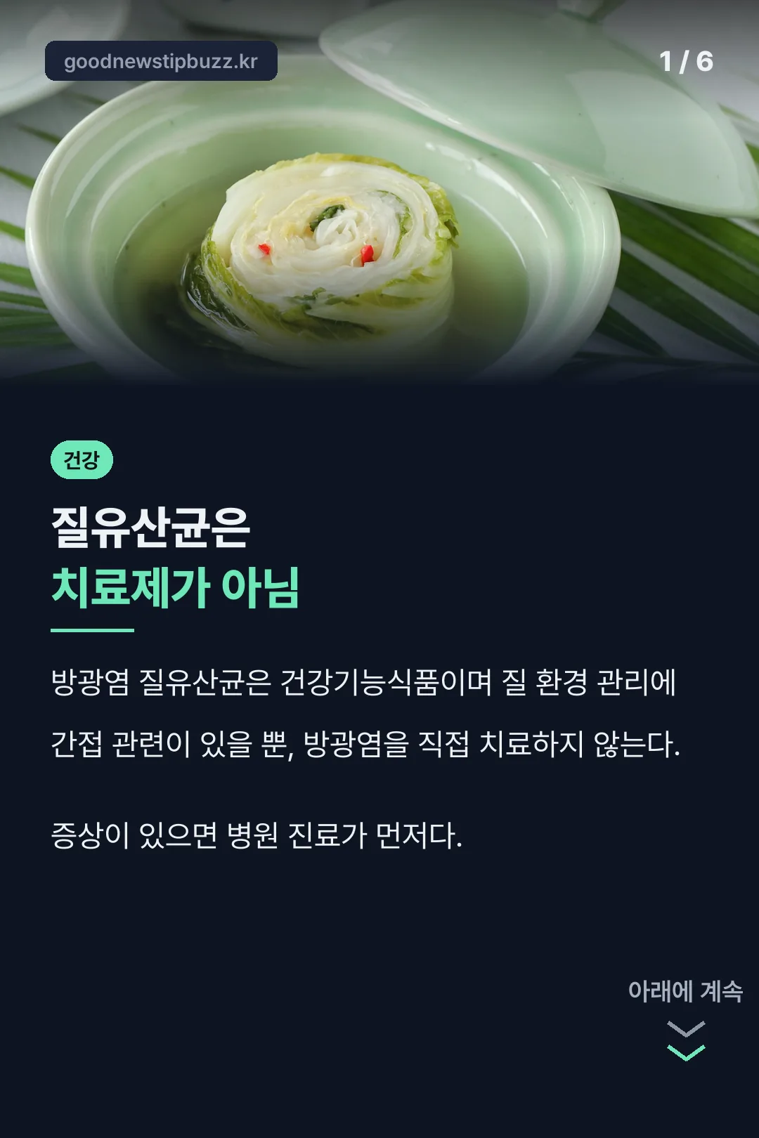 질유산균은 치료제가 아니라는 결론