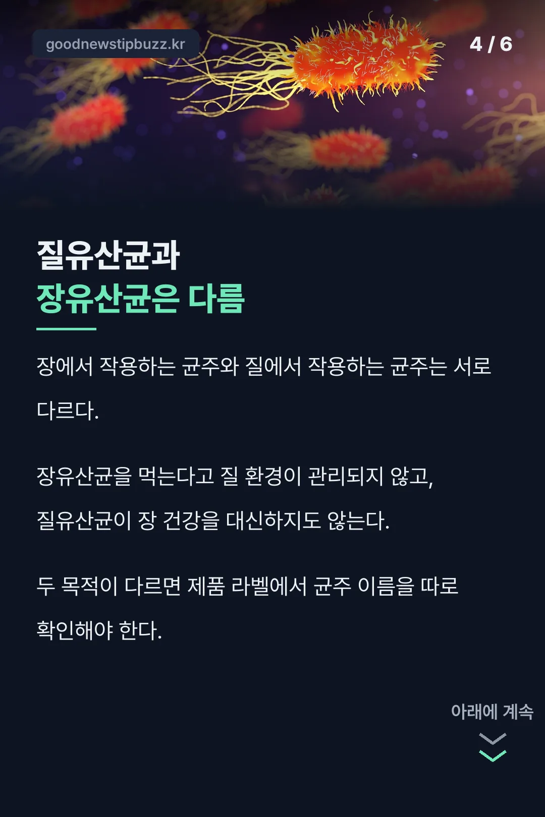 질유산균과 장유산균의 균주 차이