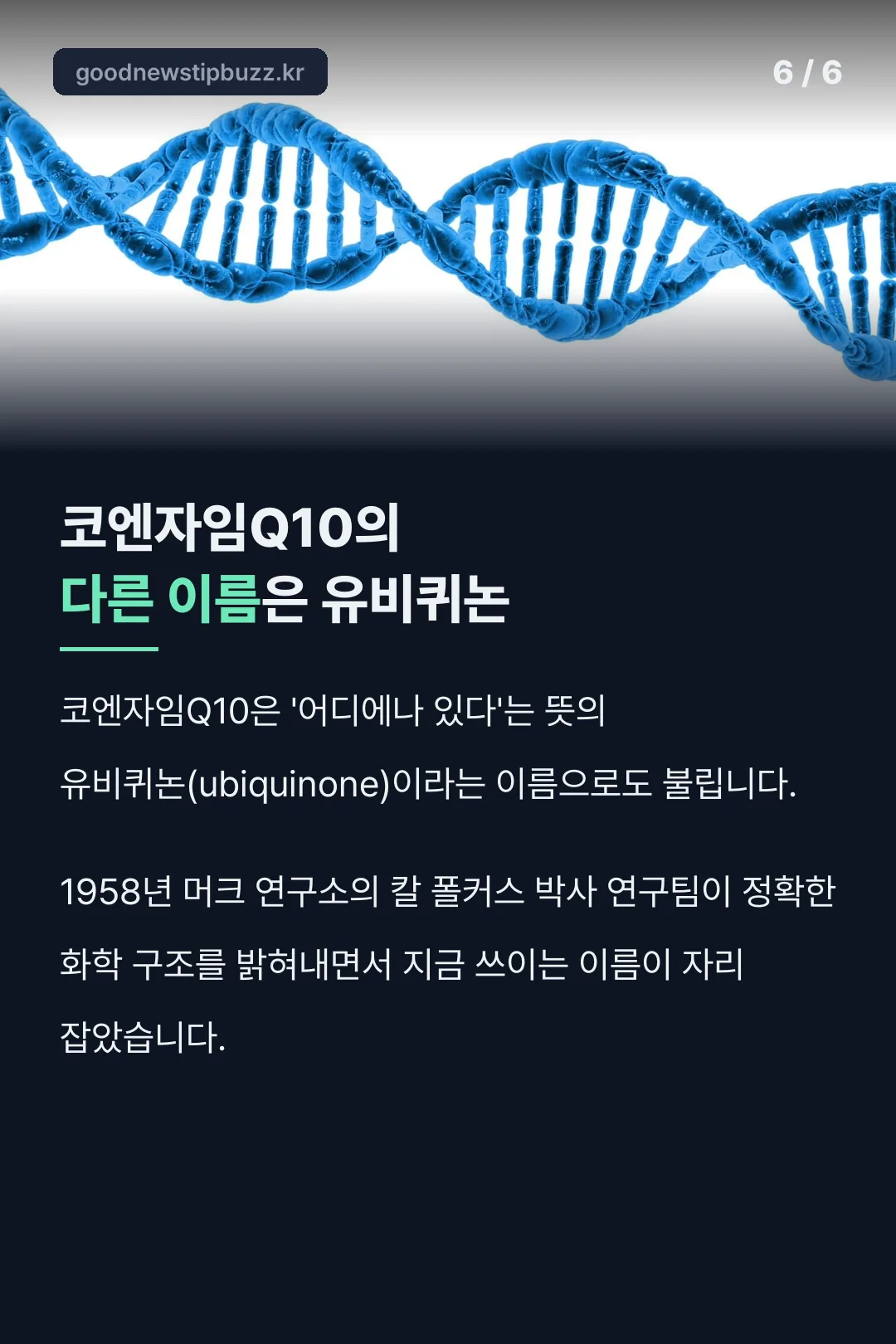 유비퀴논이라 불리는 이유