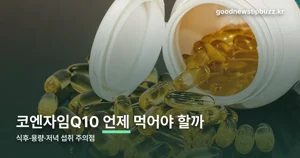 코엔자임Q10 복용법 — 식후·용량·저녁 섭취 주의점 정리