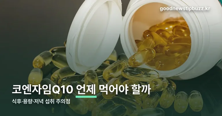코엔자임 Q10 복용법 정리 썸네일
