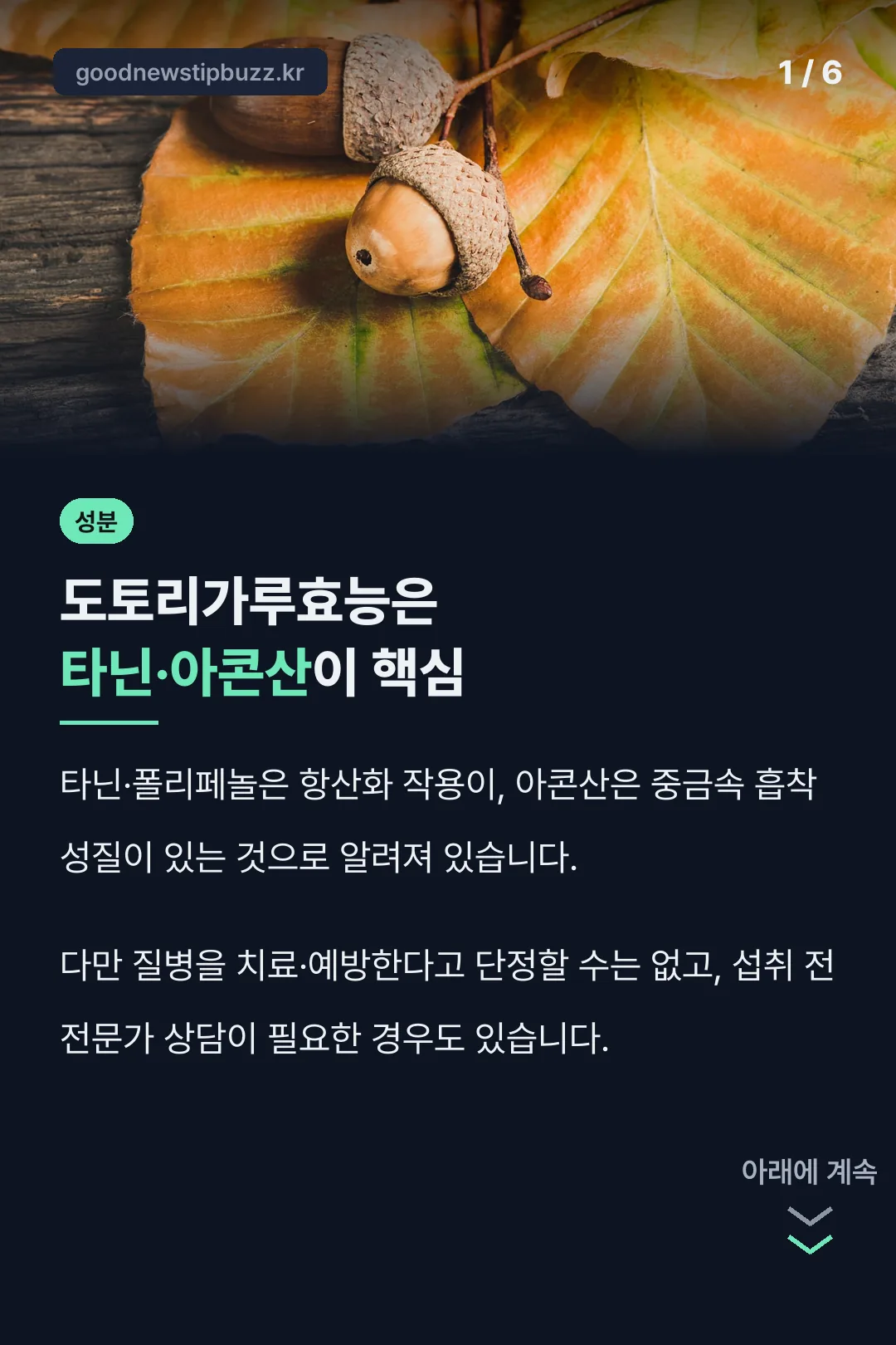 도토리가루효능 핵심 성분