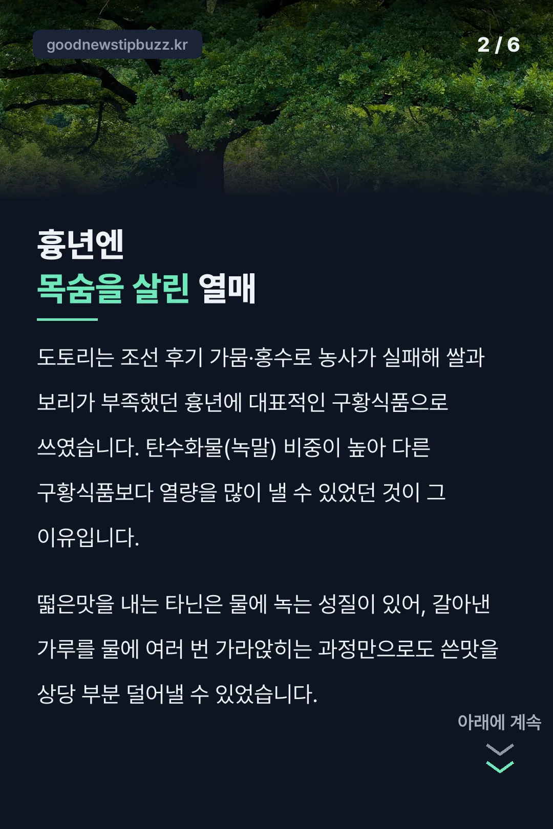 흉년을 살린 구황식품