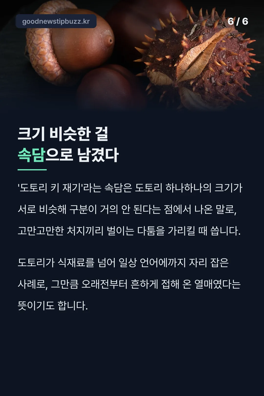 도토리 키 재기 속담