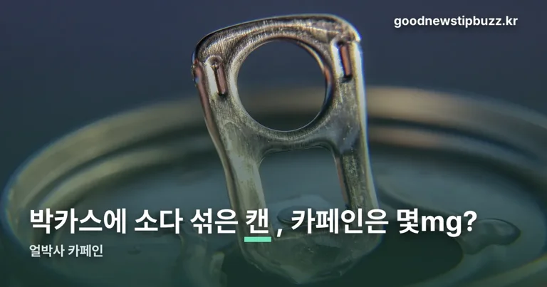 얼박사 카페인 정리 썸네일