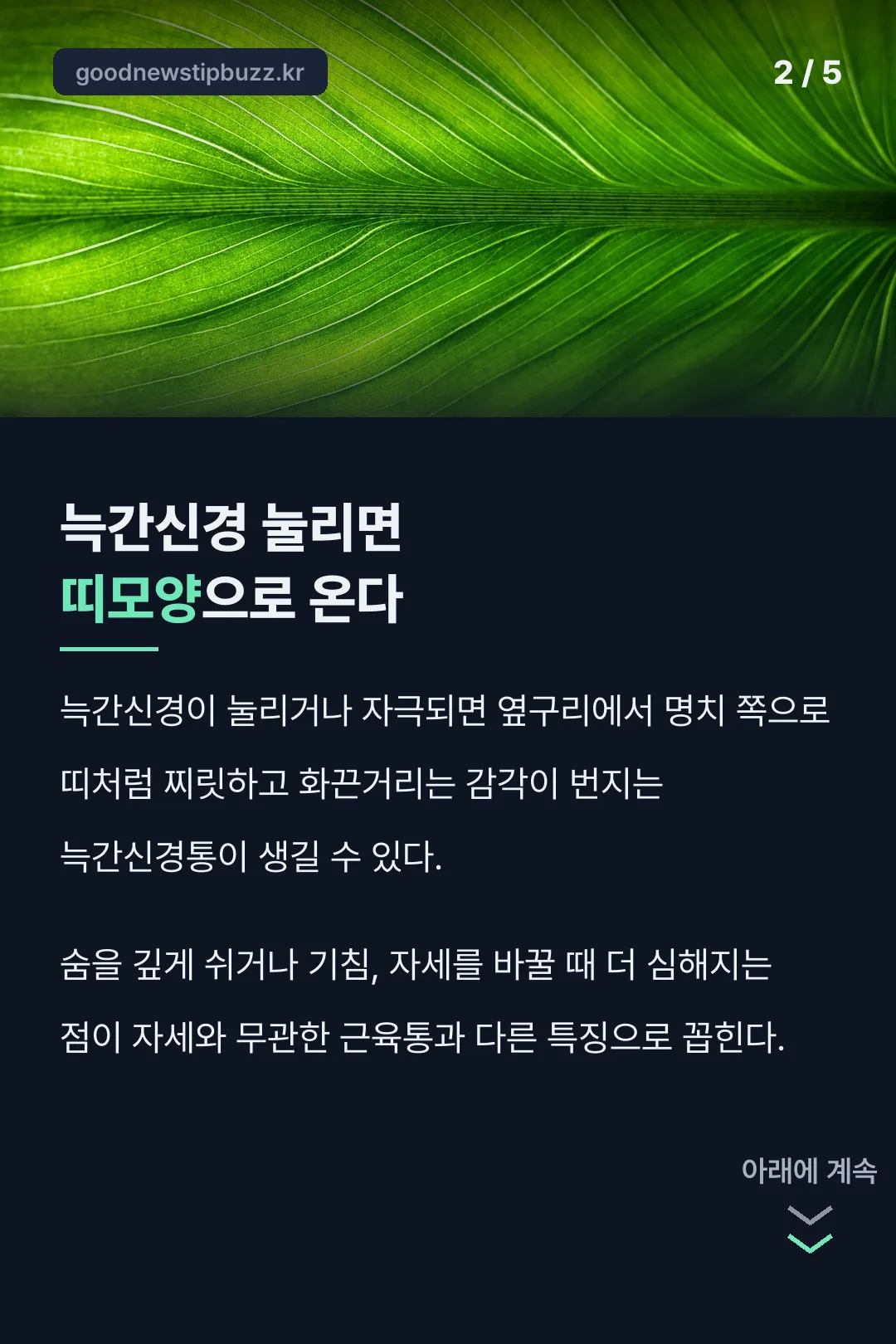 늑간신경이 눌리면 띠모양으로 저린다는 사실