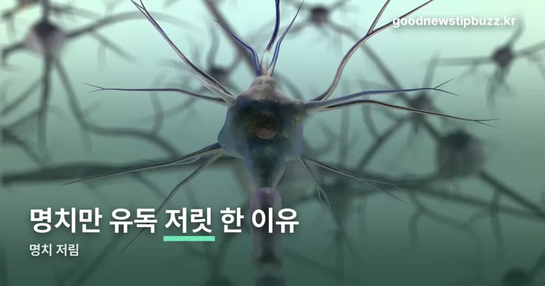 명치 저림 정리 썸네일