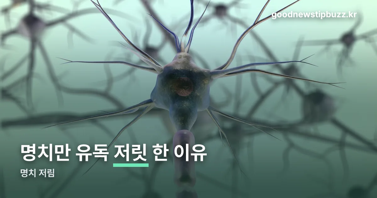 명치 저림 정리 썸네일