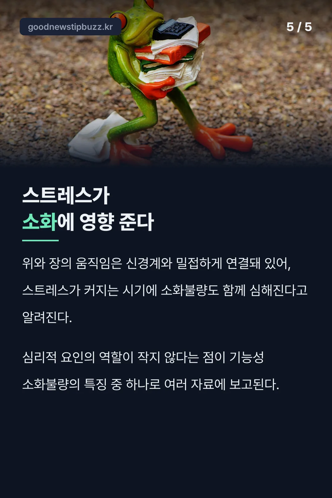 스트레스가 소화에 주는 영향