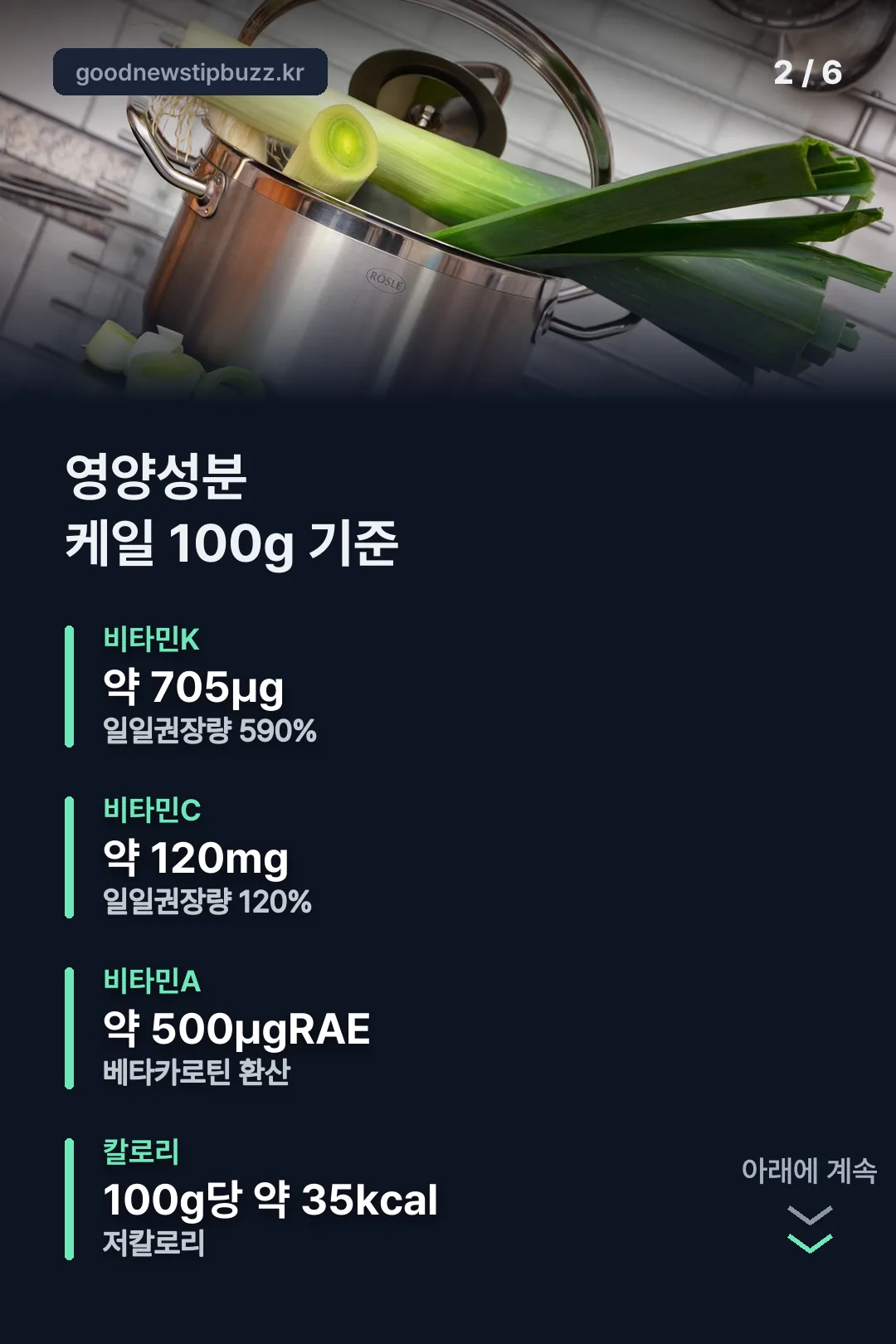 케일 영양성분 한눈에