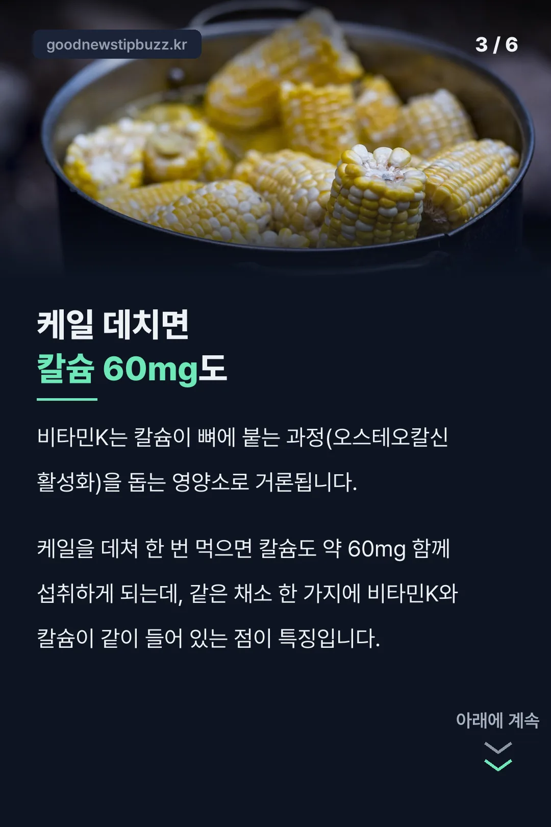 케일 비타민K와 칼슘