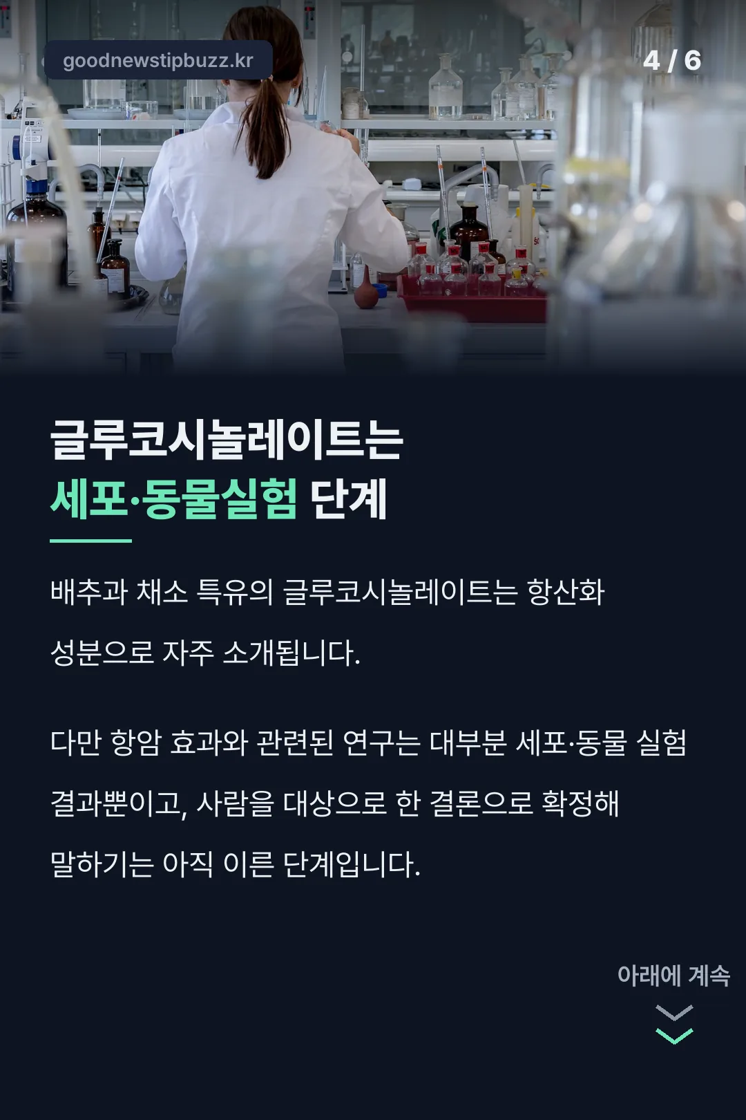 글루코시놀레이트 연구단계