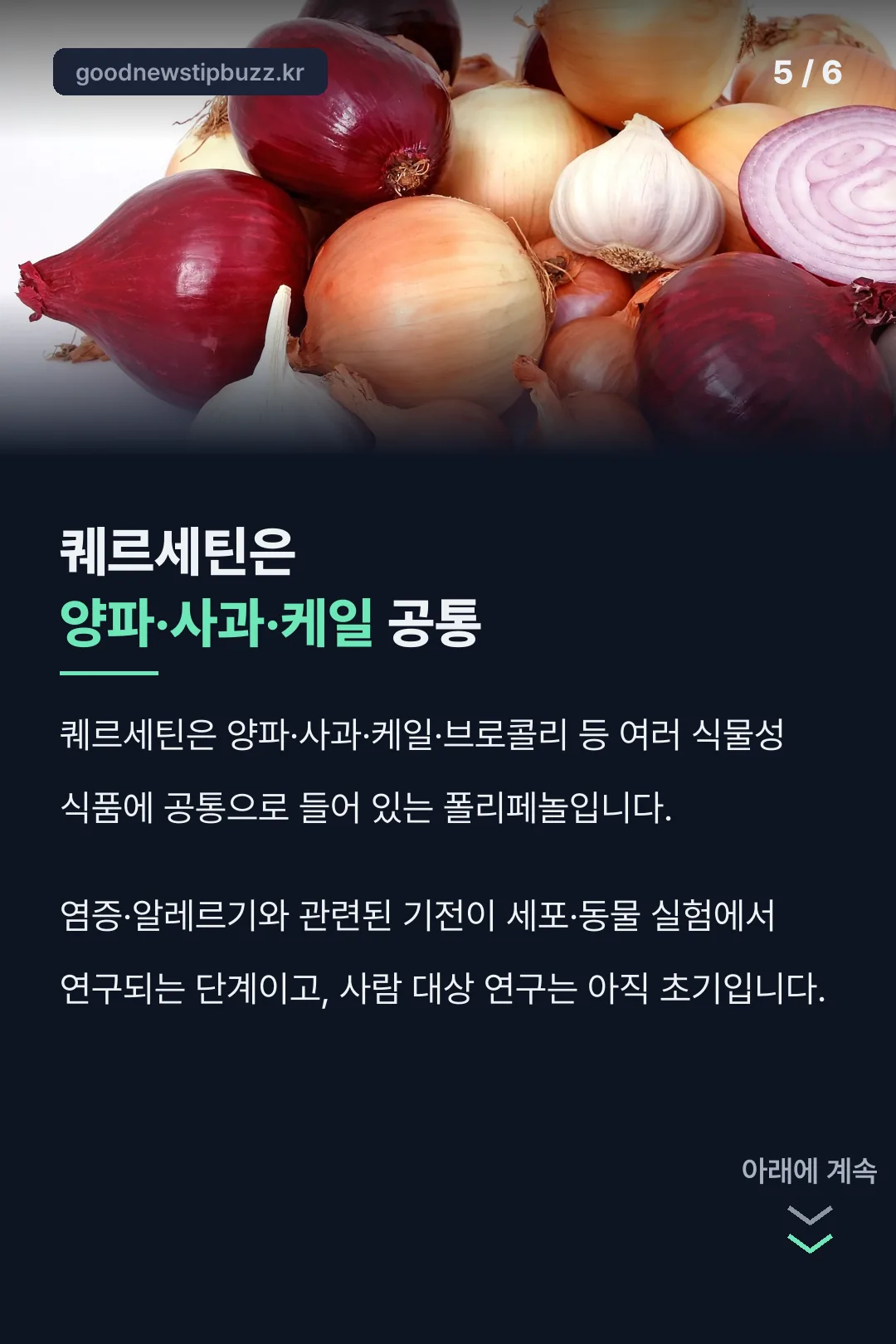 퀘르세틴 공통 성분