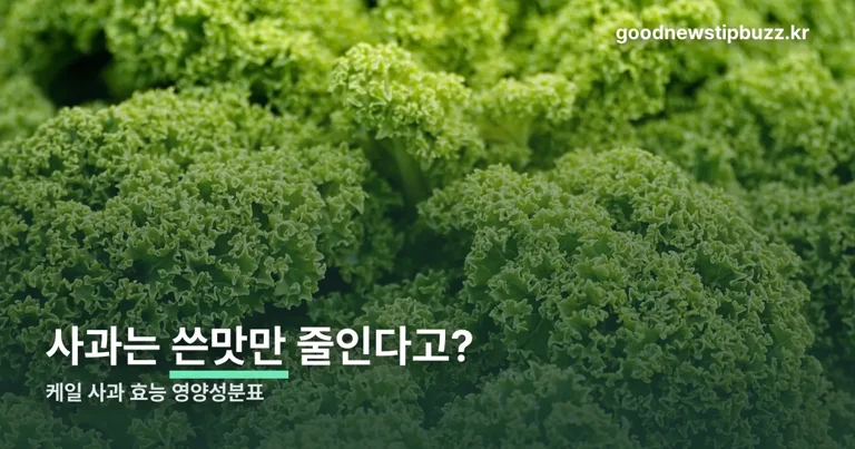 케일 사과 효능 정리 썸네일