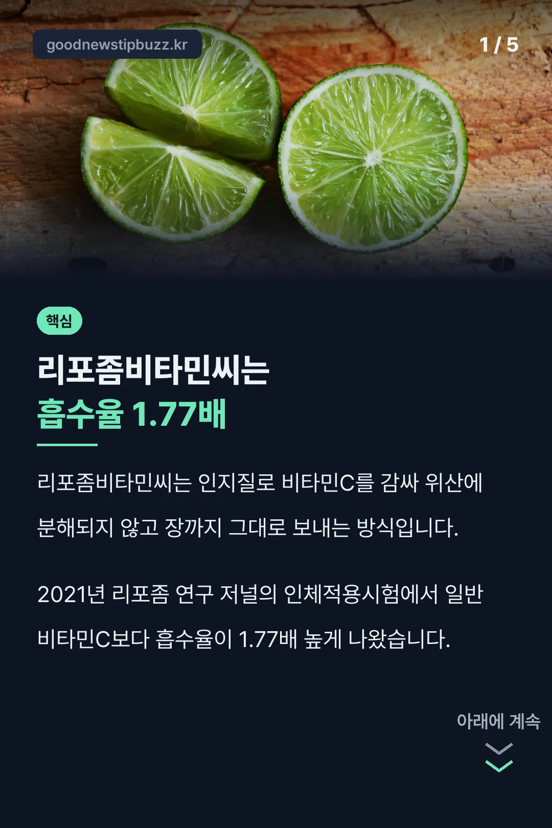 리포좀비타민씨 핵심 정리
