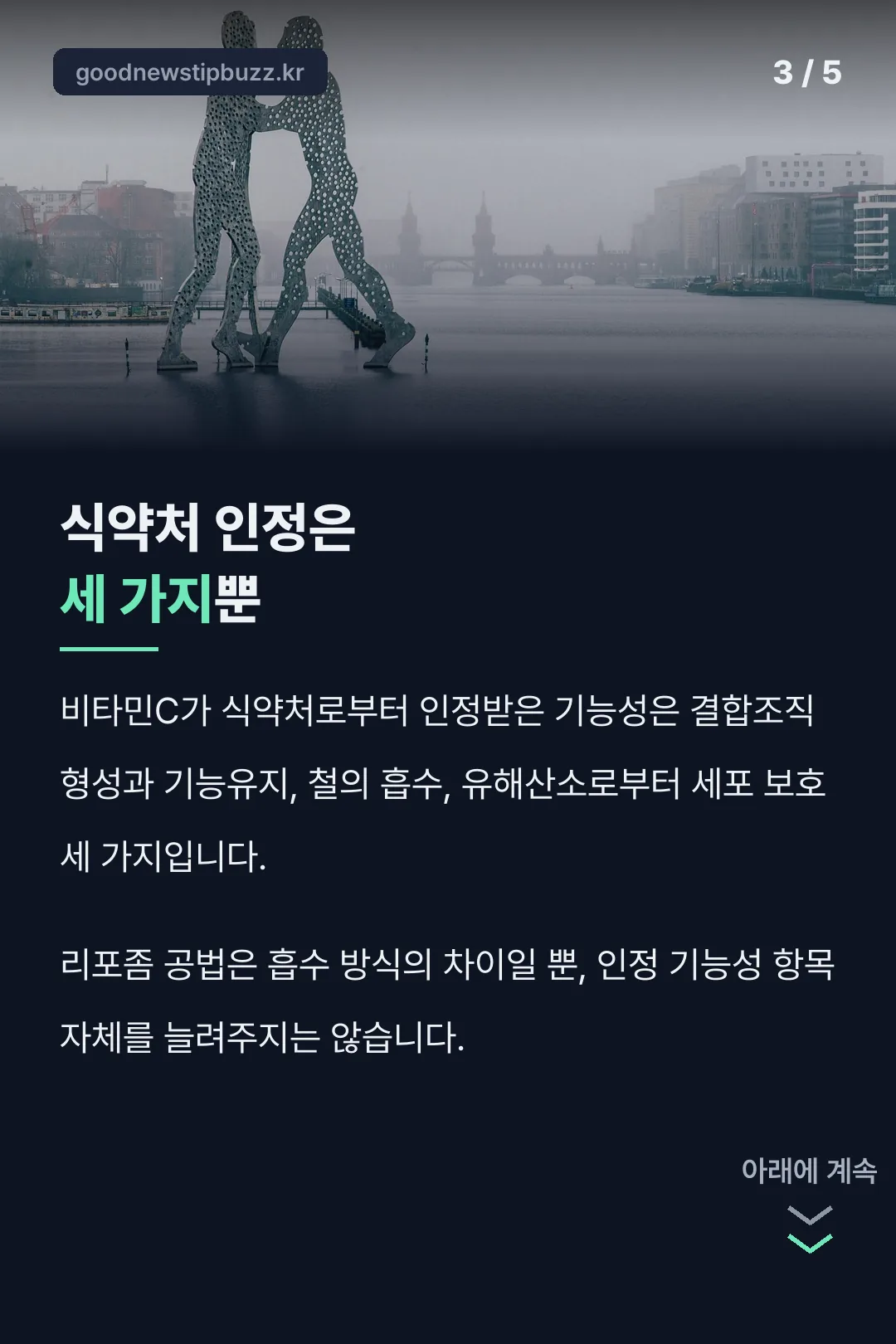 식약처 인정기능성 세 가지