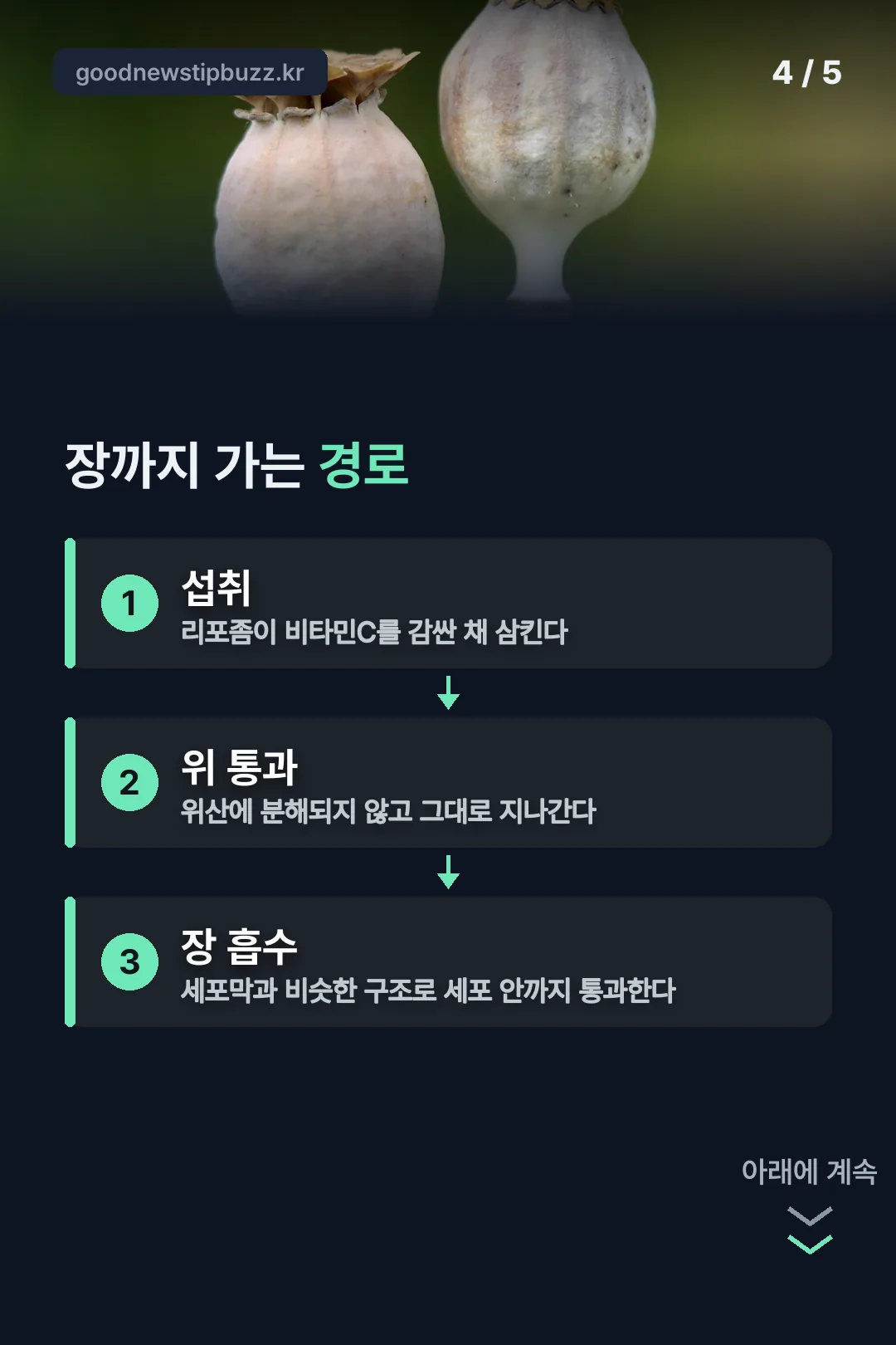 장까지 가는 경로