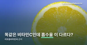 리포좀비타민씨 — 흡수율 1.77배의 근거와 인정 기능성
