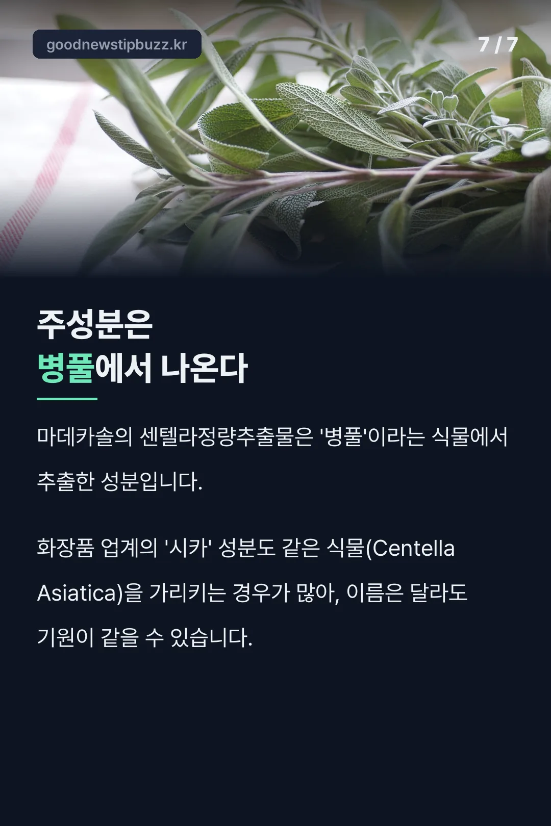 병풀 유래 설명