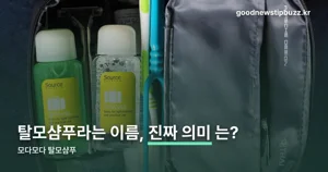 모다모다 탈모샴푸 — THB 성분 분쟁 경위를 정리했습니다