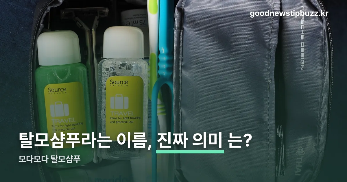 모다모다 탈모샴푸 정리 썸네일